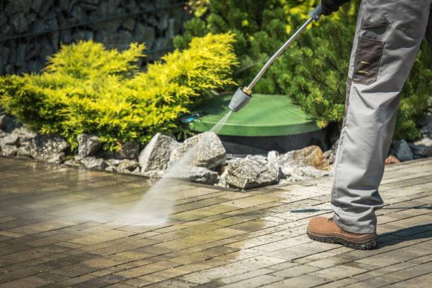 Best Sidewalk and Walkway Cleaning  in Alpine, UT